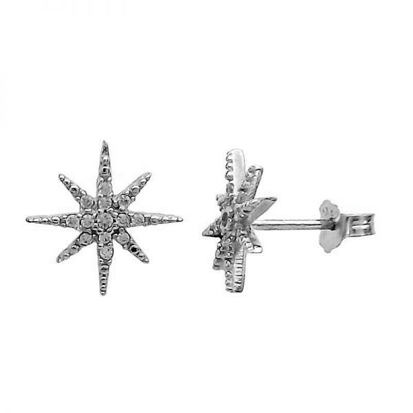 Earrings star of the north