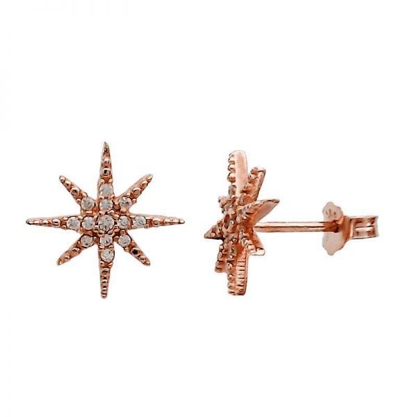 Earrings star of the north